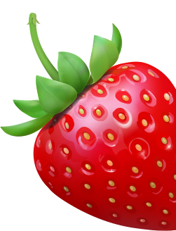 strawberry fruit piece