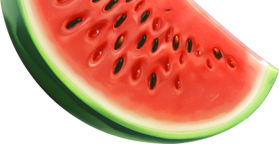 piece of watermelon