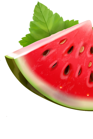 watermelon fruit piece
